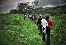 La Minga por la Libertad de la Madre Tierra, sigue caminado cada vez con más Fuerza