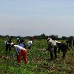 Liberación_Madre_Tierra_4