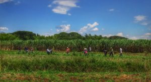 Liberación_Madre_Tierra_9