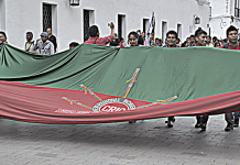 Bandera Indígena Consejo Regional Indigena del Cauca CRIC