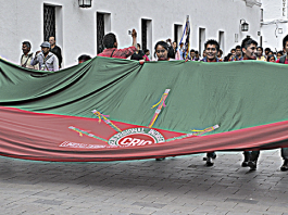 Bandera Indígena Consejo Regional Indigena del Cauca CRIC