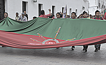 Bandera Indígena Consejo Regional Indigena del Cauca CRIC