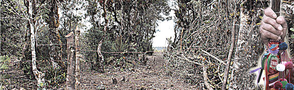 Minga de resistencia por la vida, el territorio, la Dignidad, la Paz y el cumplimiento de acuerdos