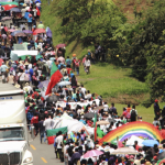 banner_d1