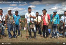 Entrevistas Autoridades Indigenas del Cauca Entrevistas Autoridades Indigenas del Cauca
