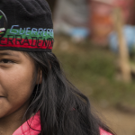 banner2-minga-08
