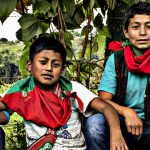 banner3-02