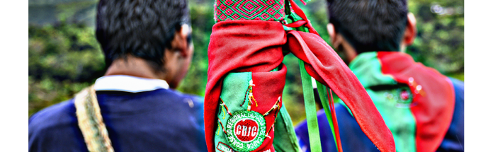 Minga de resistencia por la vida, el territorio, la Dignidad, la Paz y el cumplimiento de acuerdos CRIC Consejo Regional Indigena del Cauca, Movilización y Minga