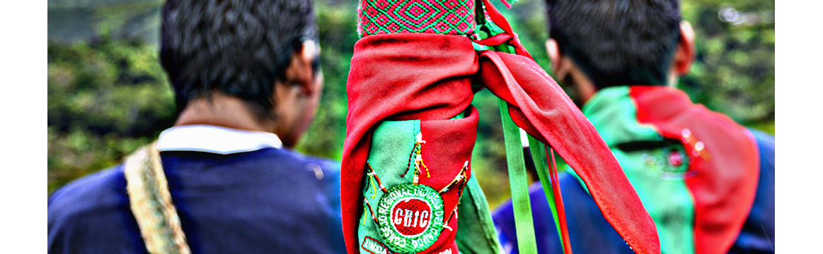 Minga de resistencia por la vida, el territorio, la Dignidad, la Paz y el cumplimiento de acuerdos CRIC Consejo Regional Indigena del Cauca, Movilización y Minga