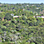 banner3-09