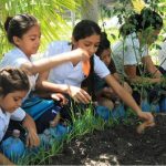 Honduras_combate_Habre_Escuelas_1