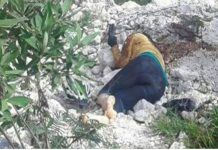 Asesinan a Lesbia Yaneth, compañera de Berta Cáceres en la lucha contra los abusos de multinacionales