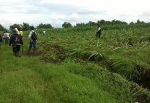 Comunidades del norte del Cauca, continúan caminando hacia la libertad de madre tierra.