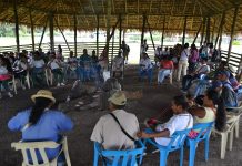 Plan de Acción ante la Peste (COVID-19) en la Zona Norte del Cauca