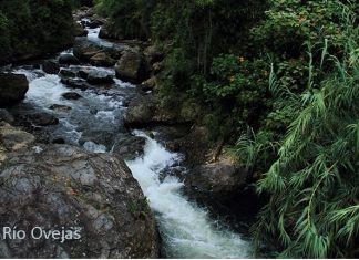 La Red del Agua Comunitaria de las Cuencas Ovejas: respecto a los hechos conflictivos que acontecen en esta jurisdicción y que enfrentan a los Cabildos Misak y Nasa de La Laguna