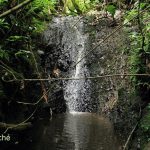Rio_Ovejas_Caldono_3