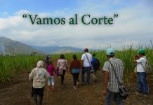 Vamos al corte: ¿Y cómo quedaron los acuerdos?