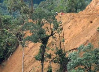 Foto: ODECOFROC / Afrodita construye carretera de acceso en la Cordillera del Cóndor