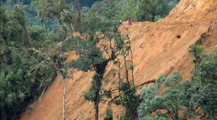 Foto: ODECOFROC / Afrodita construye carretera de acceso en la Cordillera del Cóndor