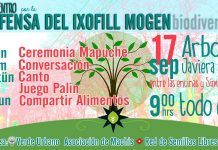 En Temuco se realizará encuentro por la defensa del Itxofill Mongen (Biodiversidad) este 17 de septiembre
