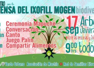 En Temuco se realizará encuentro por la defensa del Itxofill Mongen (Biodiversidad) este 17 de septiembre