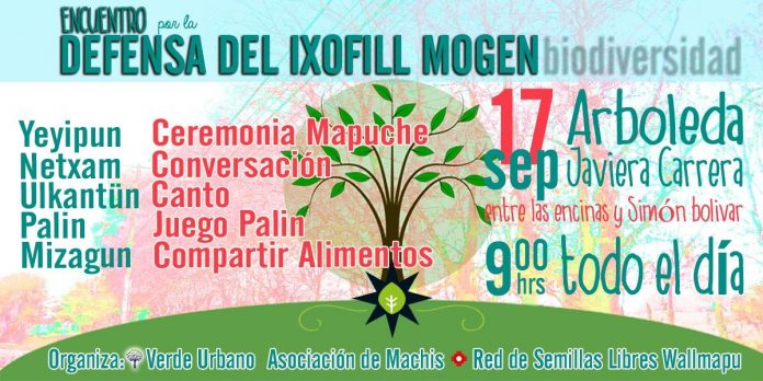 En Temuco se realizará encuentro por la defensa del Itxofill Mongen (Biodiversidad) este 17 de septiembre