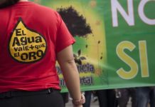 Consulta Minera Busca Frenar Proyecto la Colosa en Cajamarca, Tolima