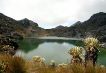Minería en Páramo de Santurbán No Contó Con Estudios Sobre Impactos Socio-Ambientales