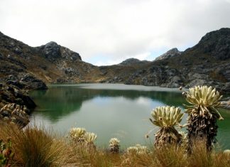 Minería en Páramo de Santurbán No Contó Con Estudios Sobre Impactos Socio-Ambientales