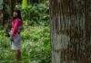 Comunidades Fortalecen Sus Estrategias para Conservar los Bosques Colombianos