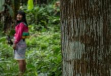 Comunidades Fortalecen Sus Estrategias para Conservar los Bosques Colombianos