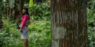 Comunidades Fortalecen Sus Estrategias para Conservar los Bosques Colombianos