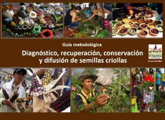 Comparten guía para el manejo de semillas criollas