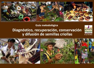 Comparten guía para el manejo de semillas criollas