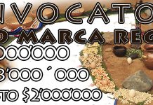 Diseño de la marca regional