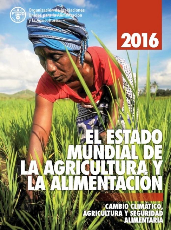 agricultura_alimentacion
