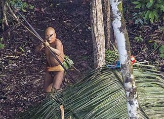 Una comunidad de indios vive aislada en la Amazonía y sin contacto hasta ahora con el mundo exterior. | Fuente: RICARDO STUCKERT