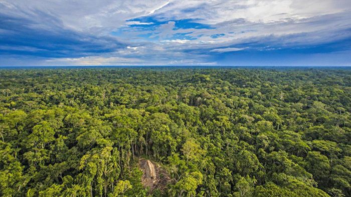 La Amazonía | Fuente: RICARDO STUCKERT