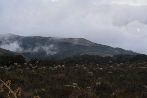 DSC_4368