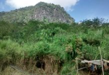 La Corte Constitucional avala la autonomía indígena sobre sus territorios