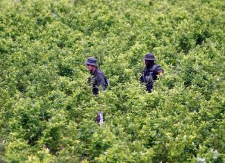 Comunidades del Putumayo denuncian amenazas paramilitares