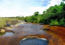 Turismo irresponsable amenaza el Caño Cristales de Santander