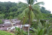 La guerra asedia a las comunidades indígenas del Chocó