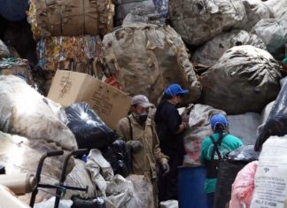 Día del reciclador, un oficio digno en condiciones indignas