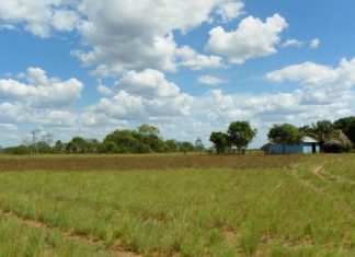 Informe sobre acumulación de baldíos se quedaría sin piso si se aprueba ley de tierras