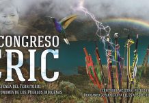 Convocatoria: XV Congreso del Consejo Regional Indígena del Cauca -CRIC-