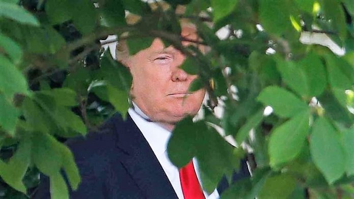 trump_1
