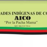 AICOO