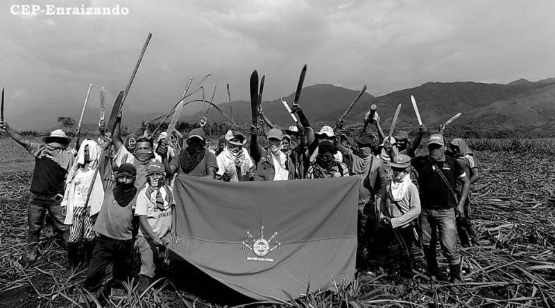 El despojo como origen del conflicto por la tierra en el Cauca