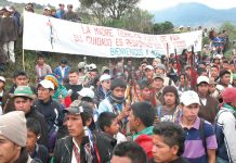 Tejiendo desde el corazon- los derechos humanos de los pueblos indigenas - 2009-2011